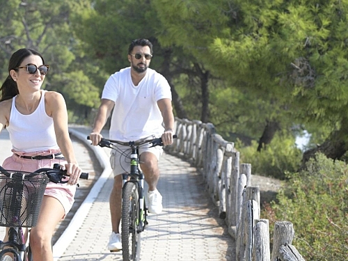 Hotel Blue Dolphin Sithonia (41 / 43)