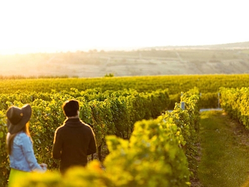 Hotel Porto Carras Meliton Sithonia (34 / 42)