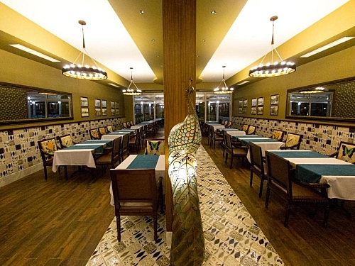 Palm Wings Ephesus Hotel Kusadasi Turcia (22 / 43)