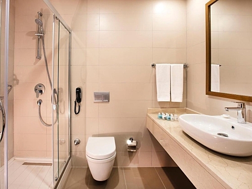 Palm Wings Ephesus Hotel Kusadasi Turcia (11 / 43)