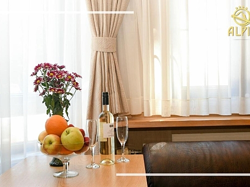 Hotel Alpin Borovets (25 / 41)