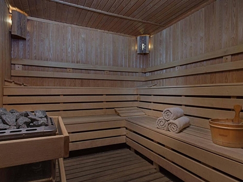 Cornelia Deluxe Residence Ski Bulgaria (22 / 24)