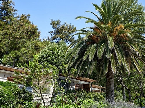 Hotel Makryammos Bungalows Thassos (34 / 52)