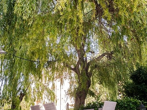 Hotel Aurora Constantin si Elena (30 / 31)