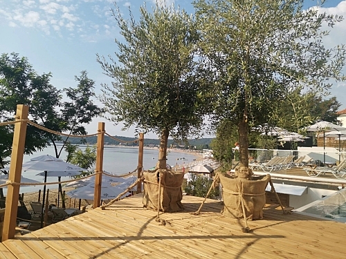 Olive Villas Sozopol Bulgaria (48 / 55)