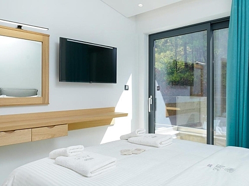 Aloe Elegant Suites Thassos (11 / 43)