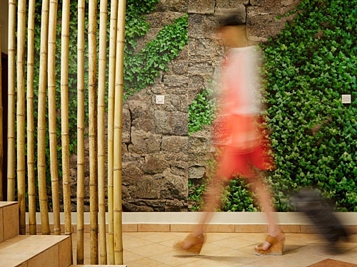 Hotel Menel The Tree House - Adults Only Thassos Grecia (14 / 24)