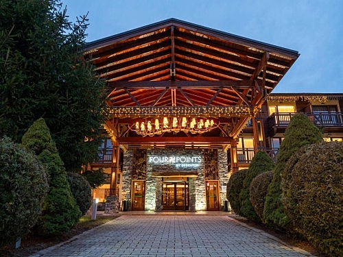 Hotel Four Points By Sheraton Ski Bulgaria (1 / 62)