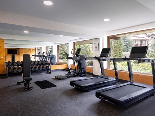 Hotel Four Points By Sheraton Ski Bulgaria (53 / 62)