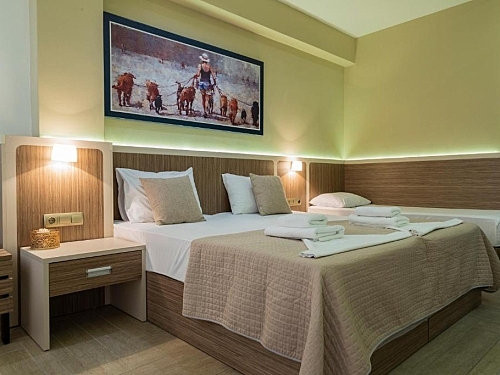 Hotel Dafni Plus Grecia (7 / 28)