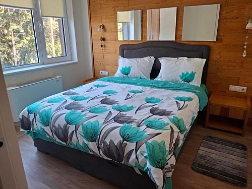 Hotel Festa Chamkoria Borovets (22 / 39)