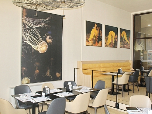 Hotel Barcelo Royal Beach Sunny Beach (54 / 78)