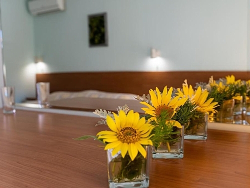 Hotel Trakia Sunny Beach (10 / 45)