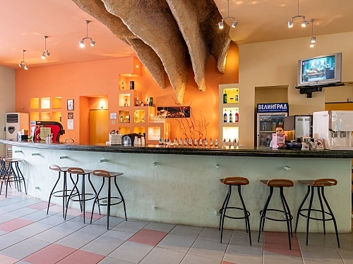 Hotel Trakia Bulgaria (37 / 40)