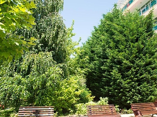 Hotel Ivana Palace Sunny Beach Bulgaria (31 / 40)
