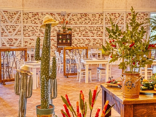 DIT Hotel Evrika Beach Club Sunny Beach (16 / 39)