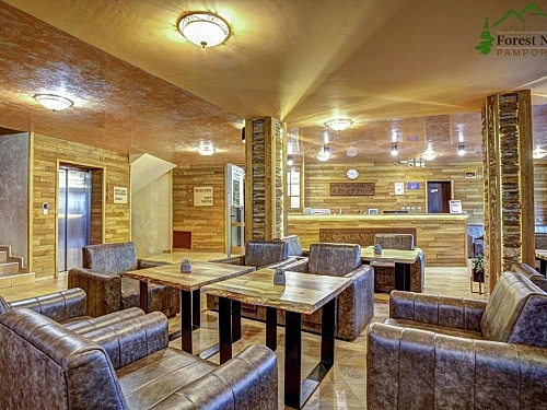 Aparthotel Forest Nook Ski Bulgaria (6 / 74)