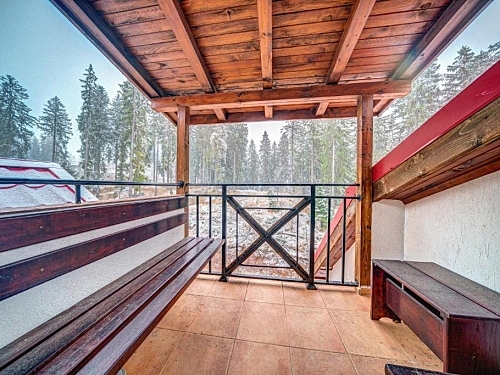 The Castle Complex Pamporovo (30 / 49)