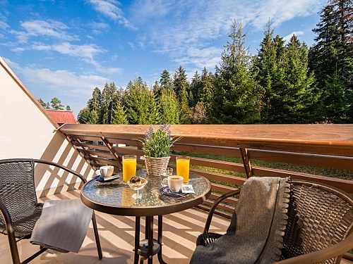 Hotel Moura Boutique & SPA Borovets Ski Bulgaria (19 / 51)