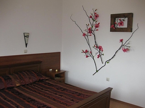 Hotel Molerite Bansko Ski Bulgaria (11 / 22)