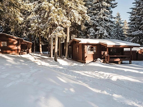 VILLAS YAGODA AND MALINA Borovets (55 / 61)