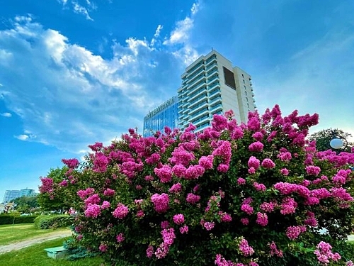 Hotel International Casino & Tower Suites Nisipurile de Aur (18 / 69)