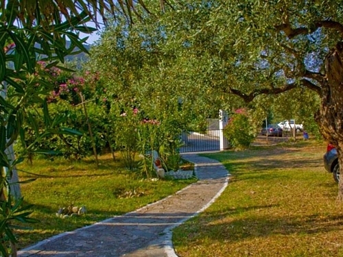 Hotel Blue Bay Beach Thassos (6 / 43)