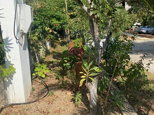 Hotel Blue Bay Beach Thassos Grecia (42 / 43)