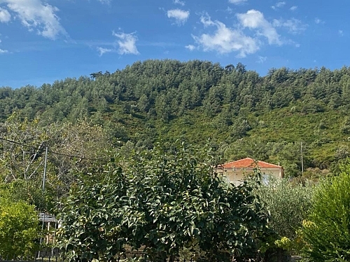 Hotel Blue Bay Beach Thassos (43 / 43)