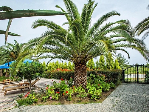 Port Marina Hotel Kassandra (35 / 35)