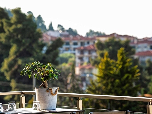 Kriopigi Hotel Grecia (8 / 45)
