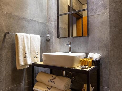 Villa Sokol Hotel Ski Bulgaria (15 / 48)
