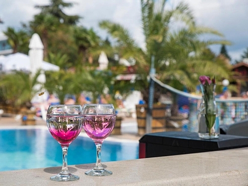 Hotel Meridian Sunny Beach Bulgaria (35 / 37)