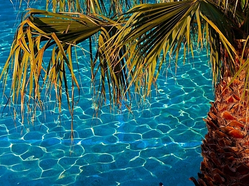 Flegra Palace Hotel Grecia (46 / 63)