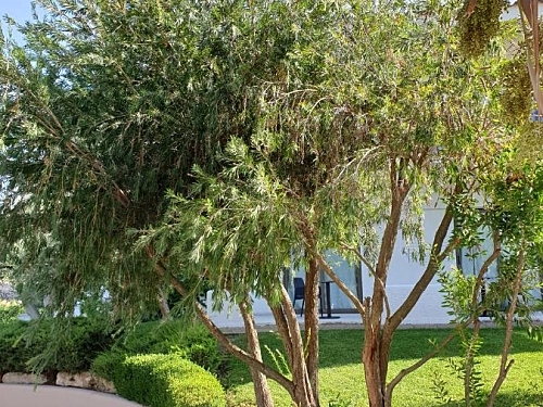 Flegra Palace Hotel Kassandra (58 / 63)