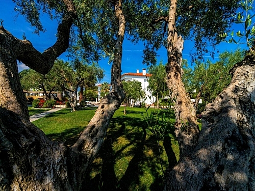 Flegra Palace Hotel Kassandra (61 / 63)