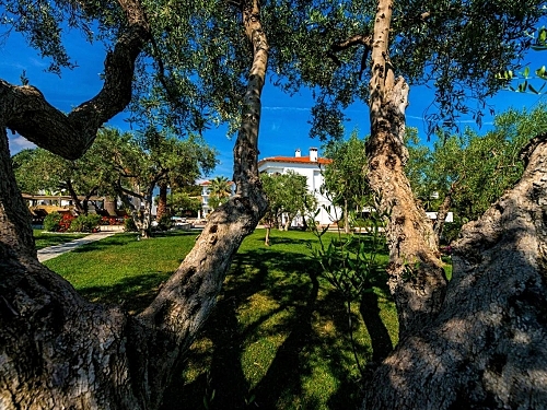 Flegra Palace Hotel Grecia (54 / 63)