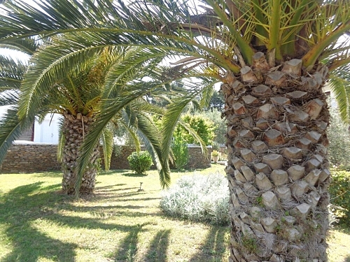 Hotel Porto Matina Sithonia Grecia (26 / 40)