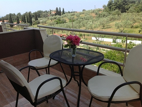 Hotel Olympic Bibis Sithonia Grecia (10 / 28)