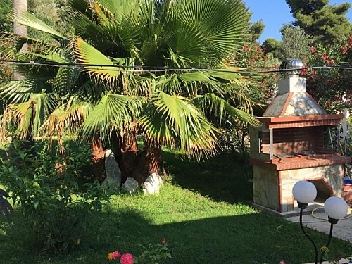 Hotel Olympic Bibis Sithonia (21 / 28)