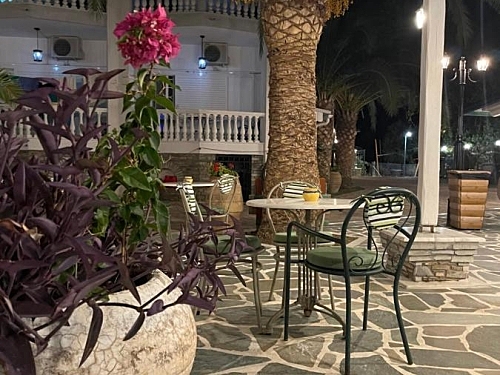 Diaporos Hotel Sithonia (28 / 31)
