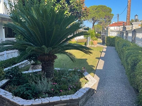 Diaporos Hotel Sithonia (29 / 31)