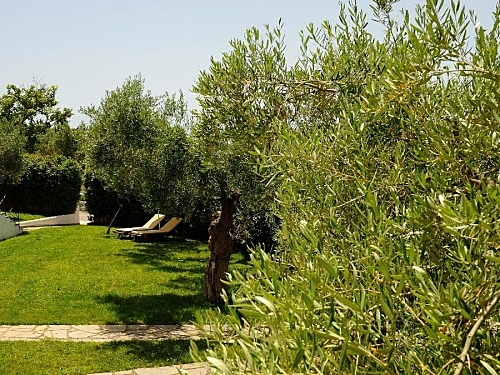 Hotel Trikorfo Beach Sithonia Grecia (30 / 33)