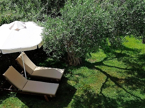 Hotel Trikorfo Beach Sithonia Grecia (28 / 33)