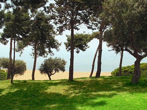 Hotel Trikorfo Beach Sithonia (24 / 33)