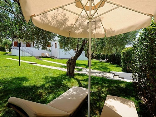 Hotel Trikorfo Beach Sithonia (29 / 33)