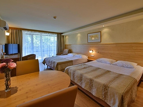 Hotel Flamingo Albena Bulgaria (7 / 20)