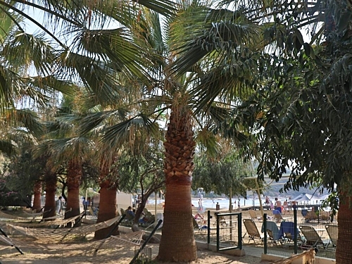 Aqua Fantasy Aquapark Hotel Turcia (38 / 47)