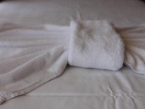 Hotel Karlovo Bulgaria (16 / 26)