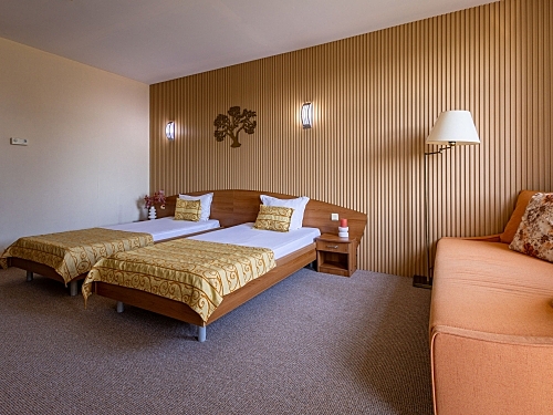 Hotel Estreya Palace Constantin si Elena (11 / 45)